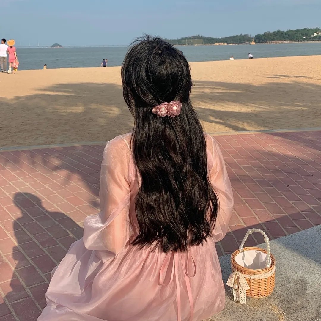 企鹅之岛:福克兰